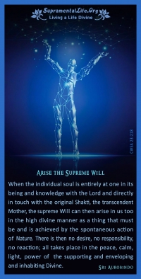 arise_supreme_will.jpg